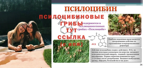 спайс Абинск